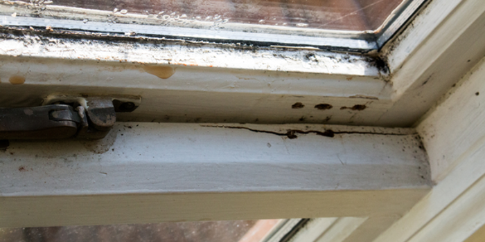 Close-up of a worn window frame showing signs of damage, including cracking and visible mold. The paint is chipped, revealing bare wood beneath. An inspection reveals the rusty window latch, testifying to its age and exposure to the elements.