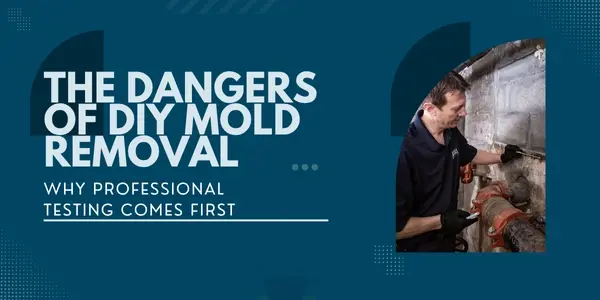 The Dangers of DIY Mold Removal and Why Professional Testing Comes First