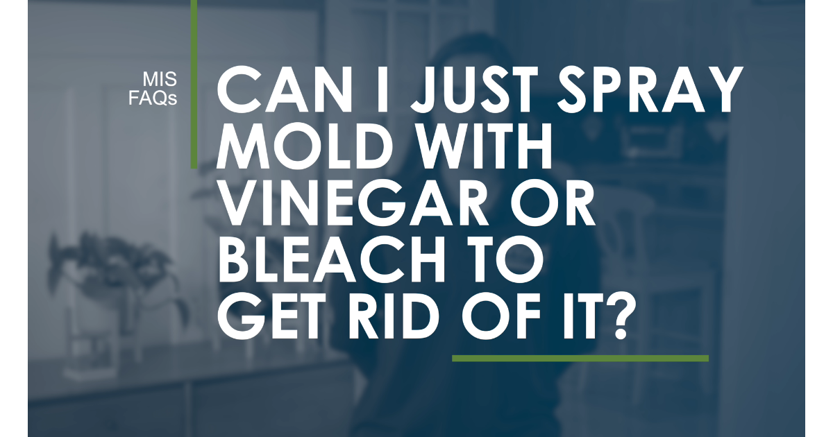 Can I just spray mold with vinegar or bleach to get rid of it