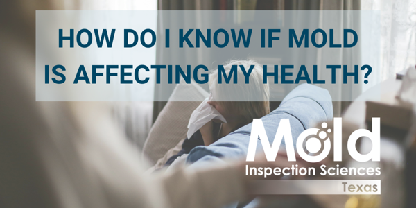 How Do I Know if Mold Is Affecting My Health