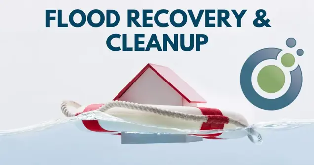 A small house model sits inside a lifebuoy floating on water, with the text FLOOD RECOVERY & CLEANUP above. To the right, a circular logo in green and gray hints at thorough mold assessment services for your peace of mind.