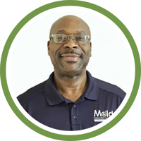 Contact Mold Inspection Sciences