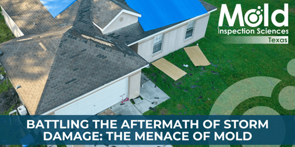 Battling the Aftermath of Storm Damage The Menace of Mold