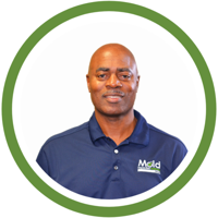 Contact Mold Inspection Sciences