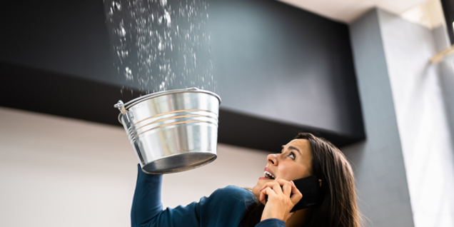 A woman, concerned about mold damage, holds a silver bucket aloft to catch water dripping from the ceiling while discussing an urgent inspection over her smartphone. The room contrasts in dark and light walls, adding to the urgency of her situation.