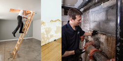 How Do I Know if Mold Is Affecting My Health?