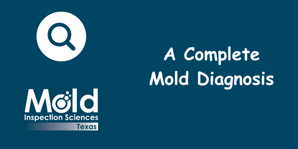 A Complete Mold Diagnosis