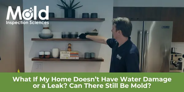 What If My Home Doesn’t Have Water Damage or a Leak – Can There Still Be Mold?