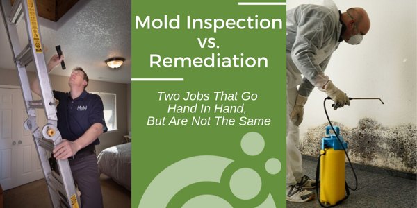 Don’t Use the Same Company for Both Mold Inspection & Mold Remediation