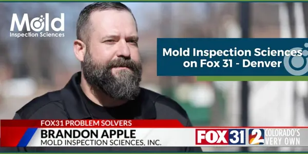 In the News: Denver Residents Turn to Mold Inspection Sciences