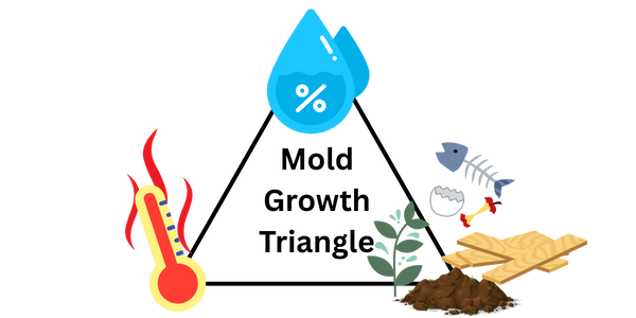 Illustration of a thermometer with red heat waves, a water droplet with a percentage sign, and a shovel with soil, a plant, and wooden boards—perfect for depicting sampling or investigation processes.