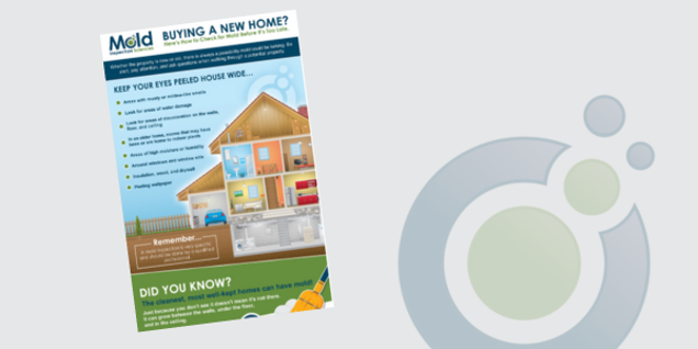 Infographic titled Buying a New Home? featuring tips on mold detection and inspection, including checking for musty odors, water stains, and adequate ventilation. Includes an illustration of a house with labeled problem areas and a reminder about mold.