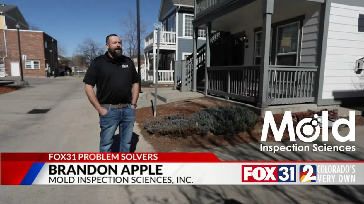 A man in a black shirt stands outside near residential buildings. The screen displays text reading Fox31 Problem Solvers, Brandon Apple, and Mold Inspection Sciences, Inc. Conducting a mold assessment, he is highlighted alongside logos for Fox31 and Colorado's Own 2.