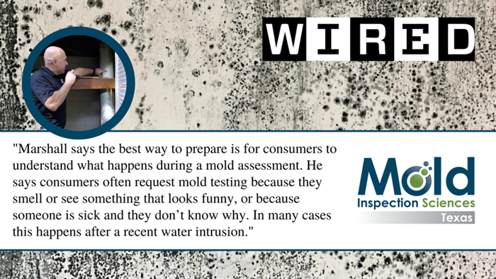 Dive into a magazine-style layout exploring mold assessment and sampling, with expert quotes on the process and consumer concerns. The background showcases a moldy surface, complemented by the Mold Inspection Sciences Texas logo.