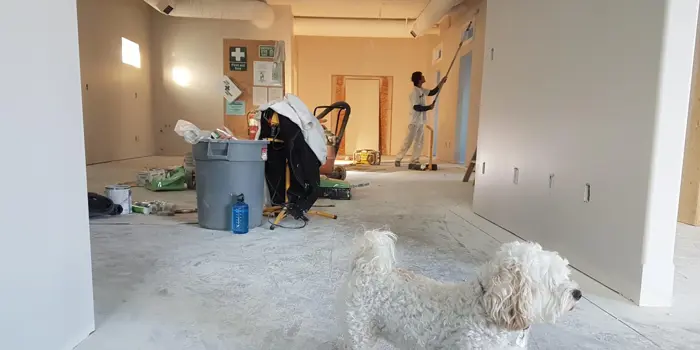 A white dog stands in the foreground of a room under renovation while someone conducts an investigation of color schemes on the wall. The space is filled with construction supplies, including a trash bin, ladder, and various tools.
