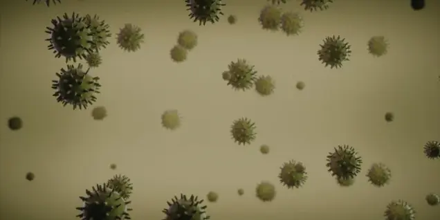 Numerous green, spiky, spherical virus-like particles float against a light beige background, resembling a microscopic view of germs or bacteria often seen during sampling or inspection procedures.