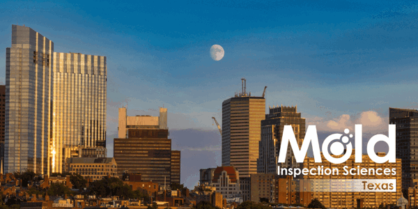 Mold Inspection and Testing in Fort Worth and the Surrounding Areas