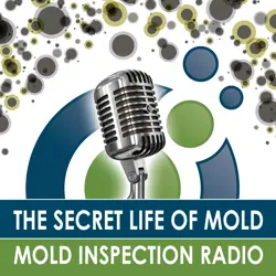 You’ve Waited Too Long to Hear This!