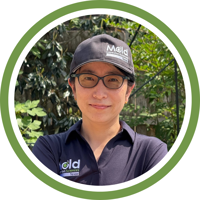 Contact Mold Inspection Sciences