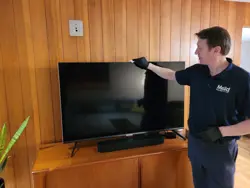 Mold Specific Quantitative Polymer Chain Reaction - qPCR