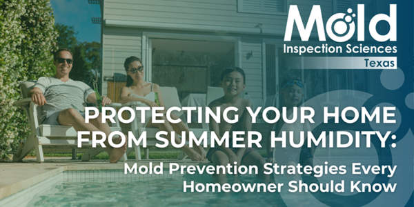 Protecting Your Home from Summer Humidity