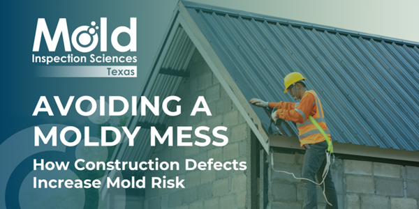 Avoiding a Moldy Mess: How Construction Defects Increase Mold Risk