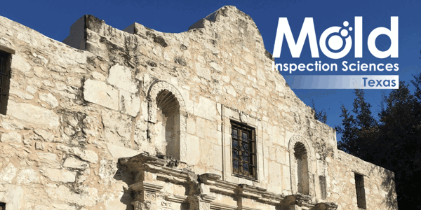 Mold Inspection and Testing in San Antonio and the Surrounding Areas