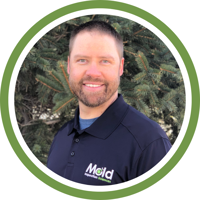 Contact Mold Inspection Sciences