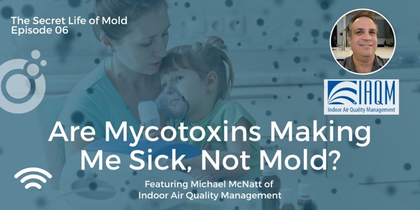 Episode 06: Are Mycotoxins Making Me Sick, Not Mold?