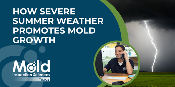 How Severe Summer Weather Promotes Mold Growth