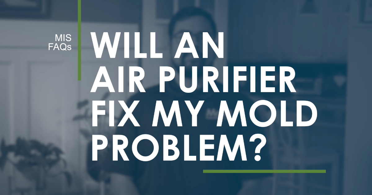 Will an air purifier fix my mold problem
