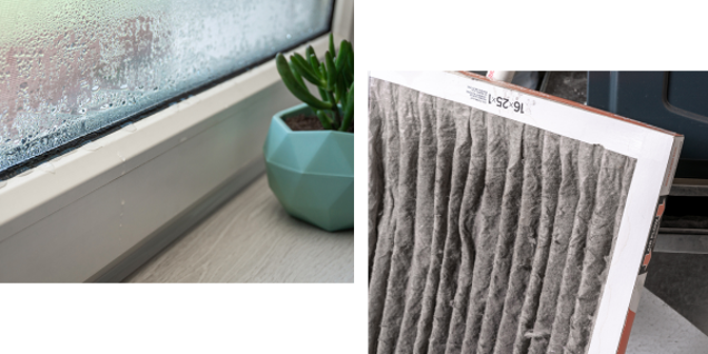 A close-up of condensation on a window ledge next to a small potted plant hints at the need for mold inspection, alongside a separate image of a dirty air filter with visible dust and debris.