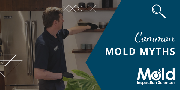 Common Mold Myths Part 2