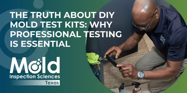 The Truth About DIY Mold Test Kits: Why Professional Testing is Essential