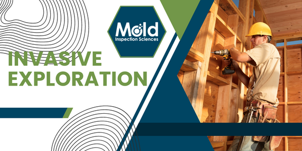 Invasive Exploration for Mold