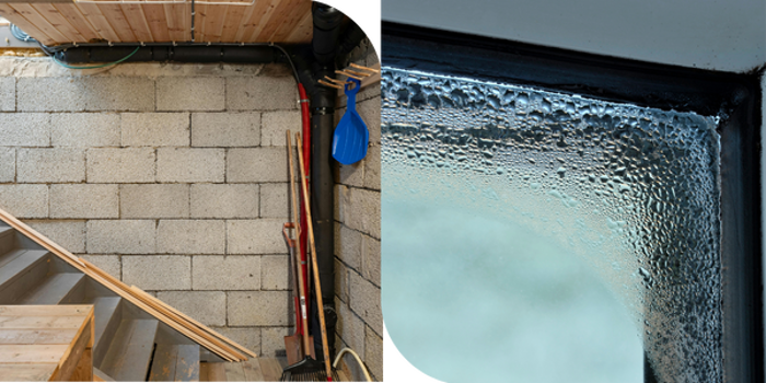A basement wall with exposed concrete blocks, cleaning tools, and wooden stairs on the left; on the right, a close-up inspection of a window shows condensation and water droplets on the glass and frame.