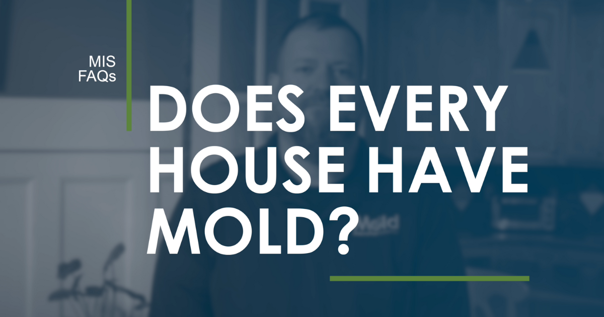 Does every house have mold