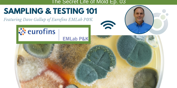 Episode 03: Sampling and Testing 101 with Eurofins EMLab P&K