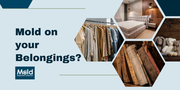 What If There’s Mold On My Belongings?