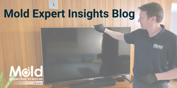 I Think I Have a Mold Problem -- Where Do I Start?  What Do I Do?