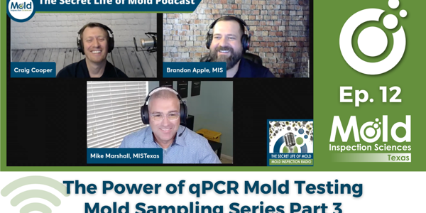 Episode 12: The Power of qPCR Mold Testing - Mold Sampling Series Part 3