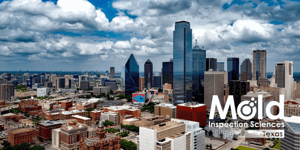 Mold Inspection and Testing in Dallas and the Surrounding Areas
