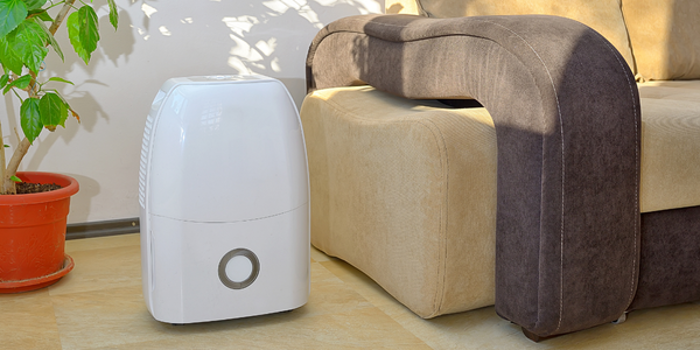 A white dehumidifier sits on a tiled floor beside a brown and beige sofa, quietly working as if under constant inspection. A green potted plant enhances the corner while sunlight from a window casts gentle shadows on the wall.