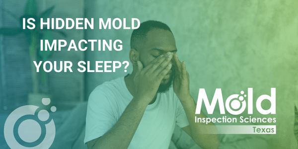 Is Hidden Mold Affecting Your Sleep Quality
