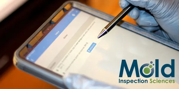 5 Critical Questions You Should Ask Before Hiring a Mold Inspector