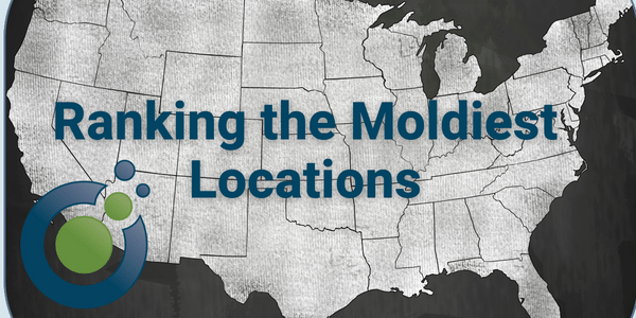 Map of the United States with "Ranking the Moldiest Locations" written across it, highlighting states requiring urgent inspection. A blue and green circular logo in the lower left corner completes this comprehensive assessment.