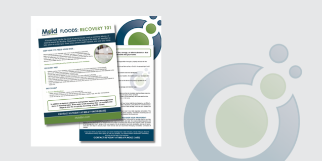 Flyer titled Mold Floods: Recovery 101 covers mold assessment and remediation post-flood, emphasizing the importance of sampling. Features images of water damage and contact info, all set in a green and blue theme with circular designs.