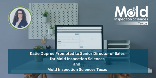 Katie Dupree Promoted to Senior Director of Sales | Mold Inspection Sciences Texas
