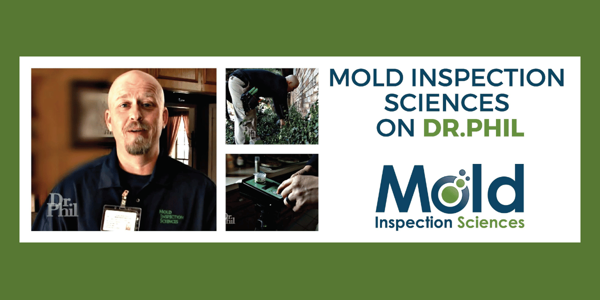 Dr. Phil Asks Top Mold Inspection Company, Mold Inspection Sciences, to Investigate a Guest’s Mold Problem