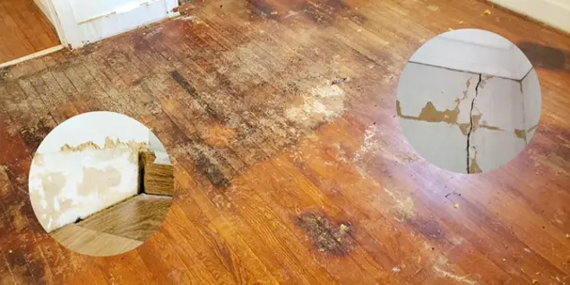 Damaged wooden floor with dark stains and dirt; two insets show close-ups of peeling wall paint and a large wall crack, highlighting the need for thorough inspection and assessment of significant water and structural damage in the room.